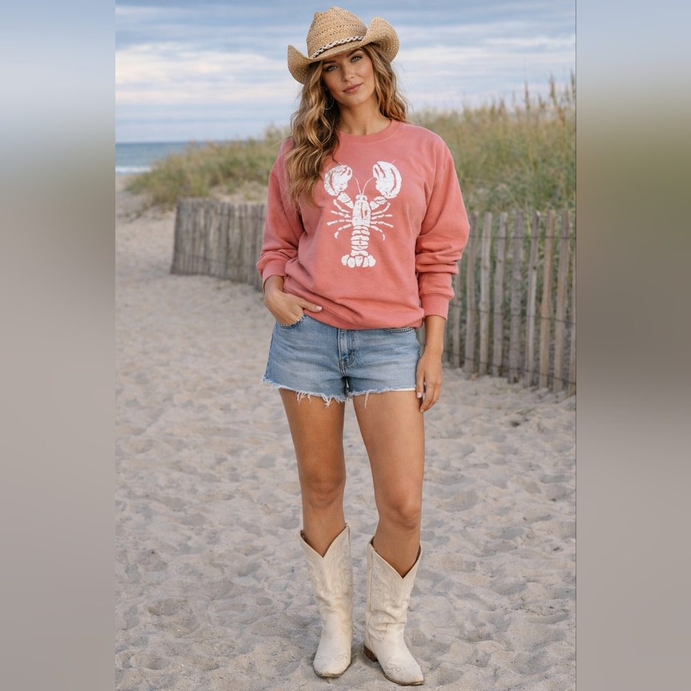 Coastal Lobster Graphic Beachy New England Preppy Nautical Pullover, Medium